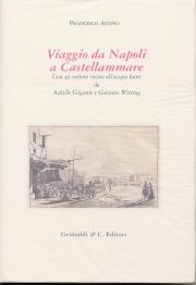 Viaggio da Napoli a Castellammare . Con 42 vedute incise all'acqua forte da A . Gigante e G. Witting