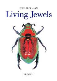Living Jewels . The natural design of beetles