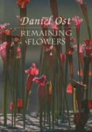 Daniel Ost . Remaining Flowers