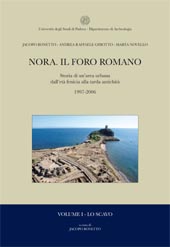 Nora . Il foro romano . Storia di un'area urbana dall' età fenicia alla tarda antichità 1997-2006